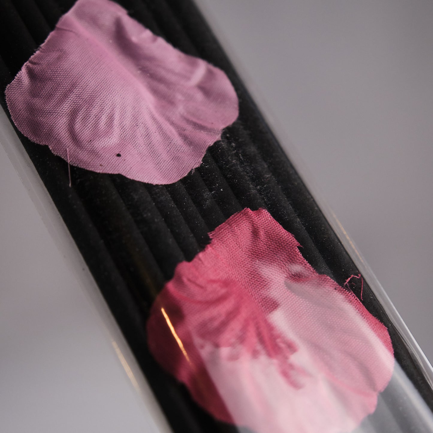 Fred Soll's Glorious Gardenia