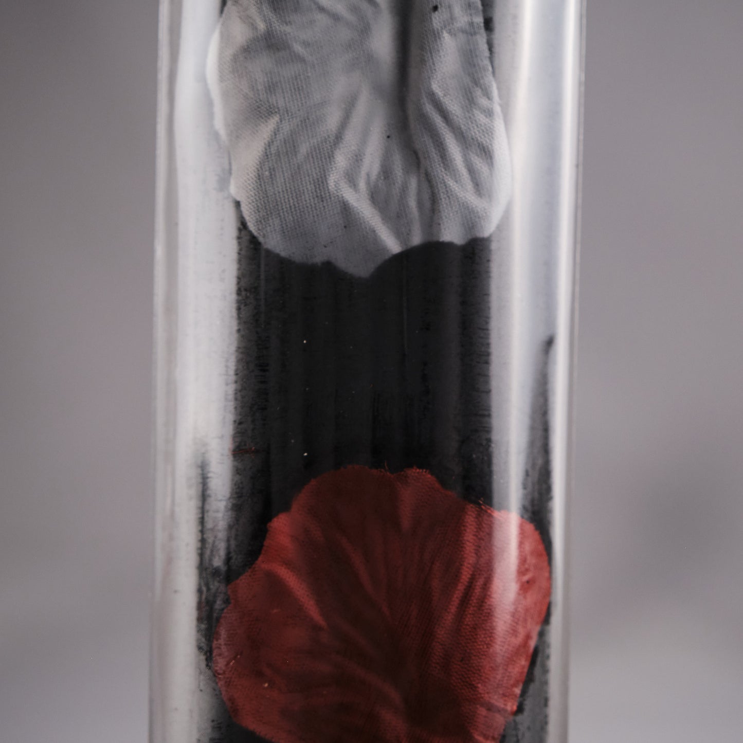 Fred Soll's Nectar of Honeysuckle