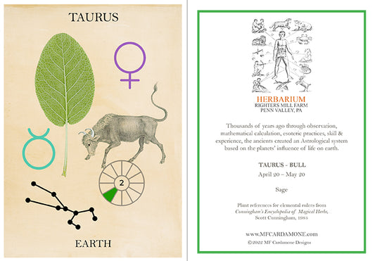 Zodiac Greeting Card by MF Cardamone
