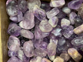 Tumbled Amethyst