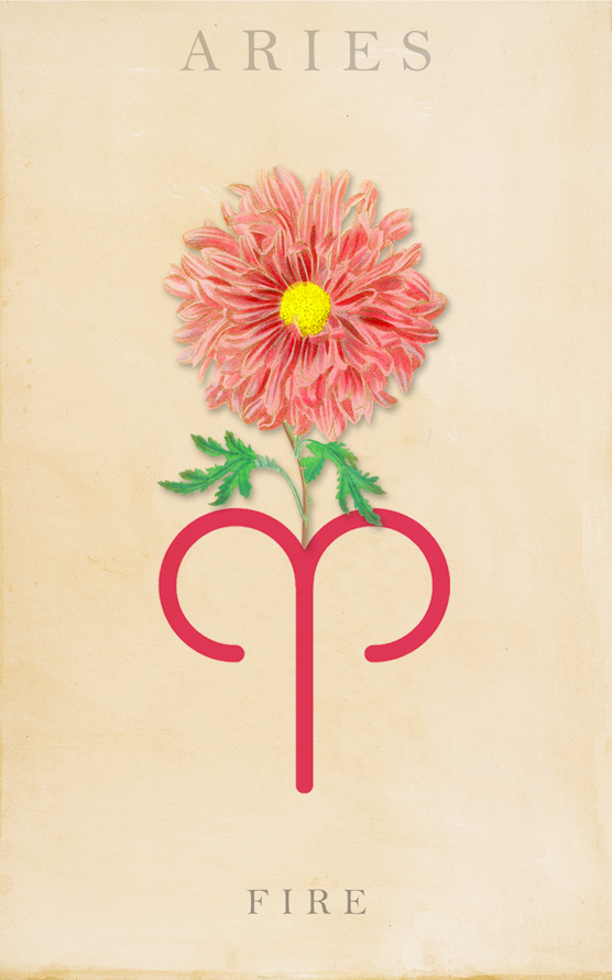 ARIES
