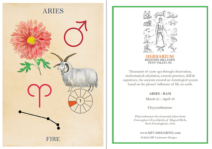 Zodiac Greeting Card by MF Cardamone