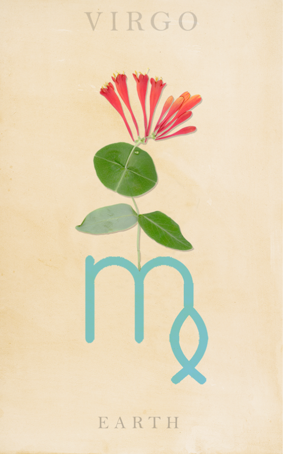 VIRGO