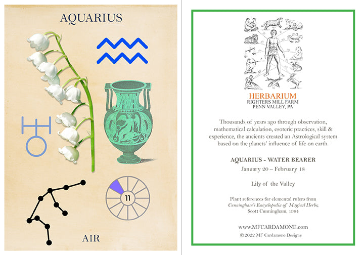 Zodiac Greeting Card by MF Cardamone