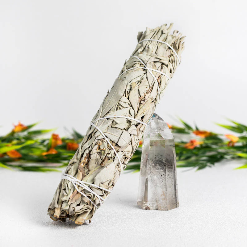 White sage smudge stick with a crystal on a white background with greenery