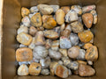 Crazy Lace Agate