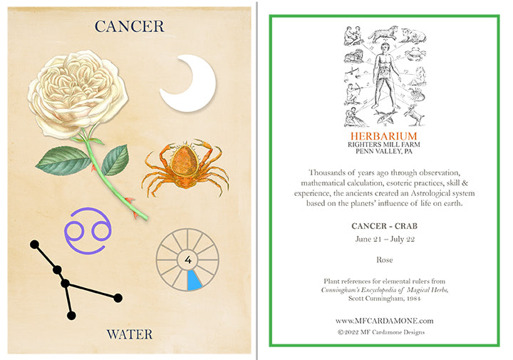 Zodiac Greeting Card by MF Cardamone