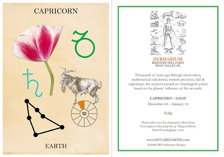 Zodiac Greeting Card by MF Cardamone