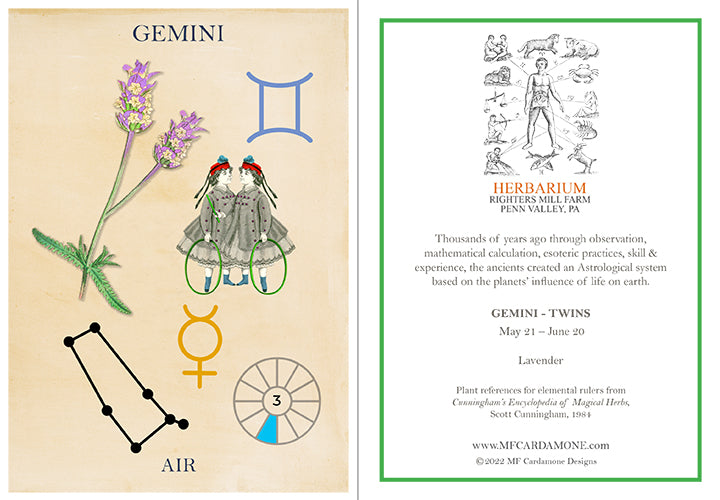 Zodiac Greeting Card by MF Cardamone