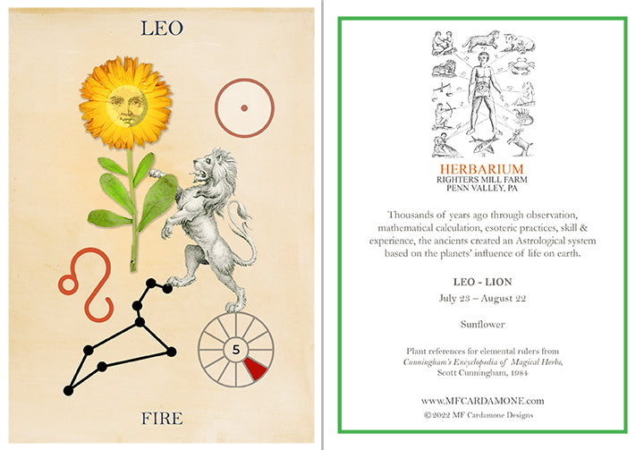 Zodiac Greeting Card by MF Cardamone