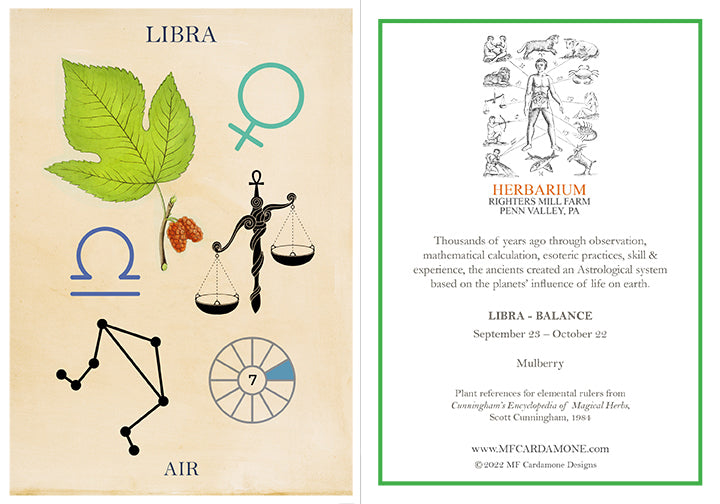 Zodiac Greeting Card by MF Cardamone