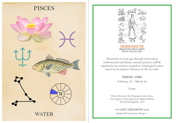 Zodiac Greeting Card by MF Cardamone