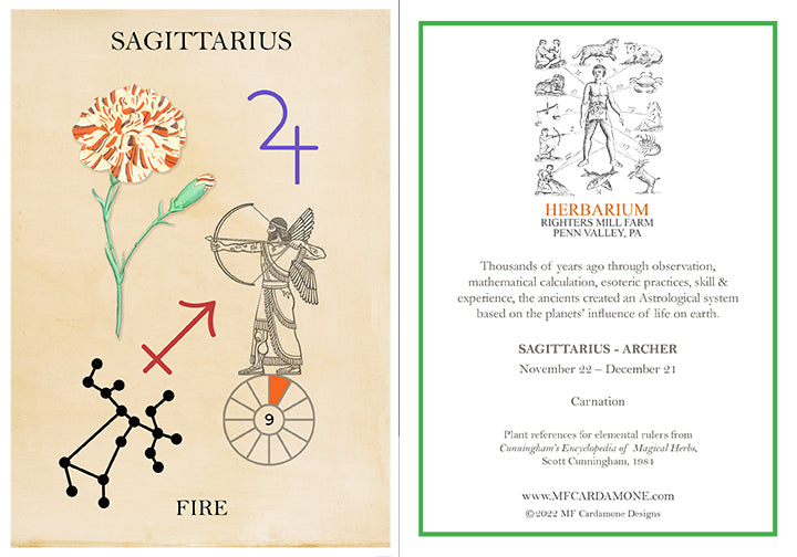 Zodiac Greeting Card by MF Cardamone