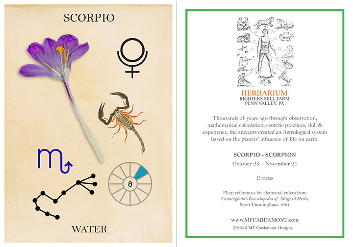 Zodiac Greeting Card by MF Cardamone