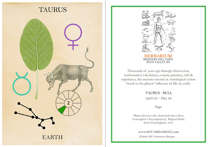 Zodiac Greeting Card by MF Cardamone