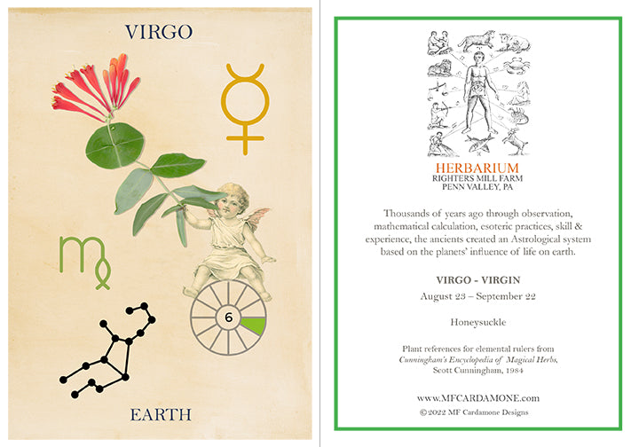 Zodiac Greeting Card by MF Cardamone